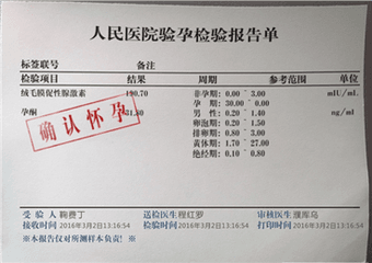 验孕报告恶搞器 官方版