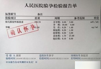 验孕报告恶搞器 官方版