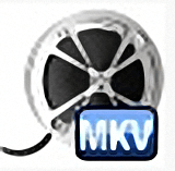 Bigasoft MKV Converter