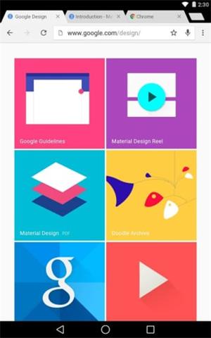 Chrome Dev 安卓版